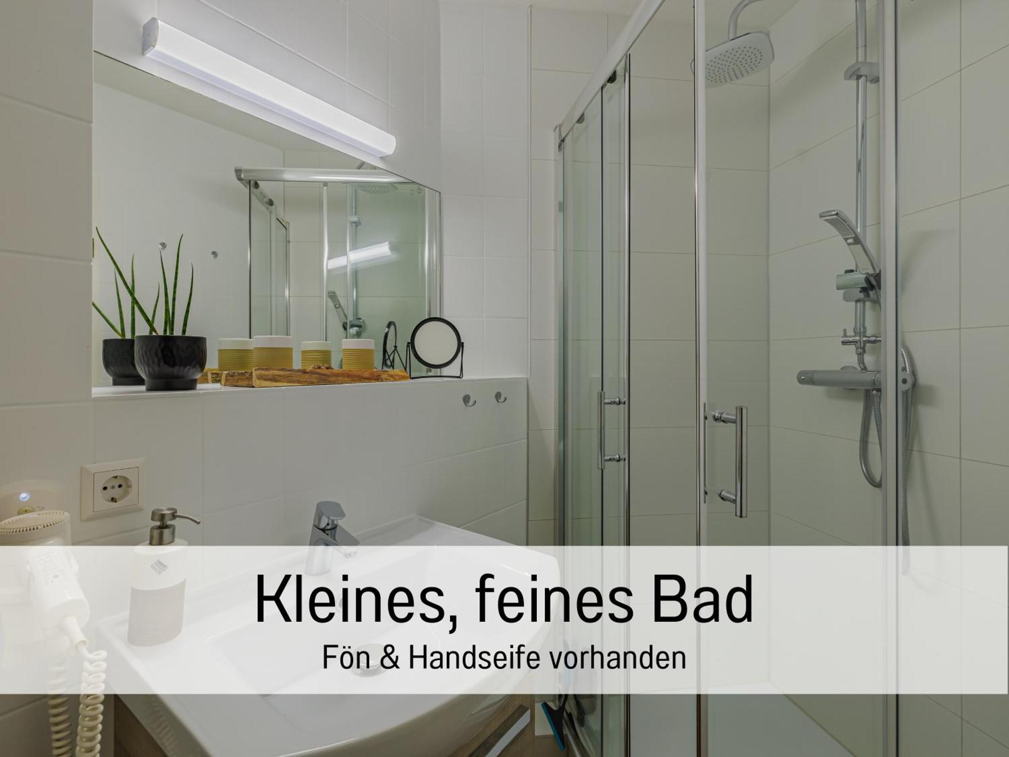 Baechle Im Wanderparadies Balkon Mit Blick Auf Den Bach Sauna Im Haus Tiefgarage E-Ladestation Todtnauberg Extérieur photo