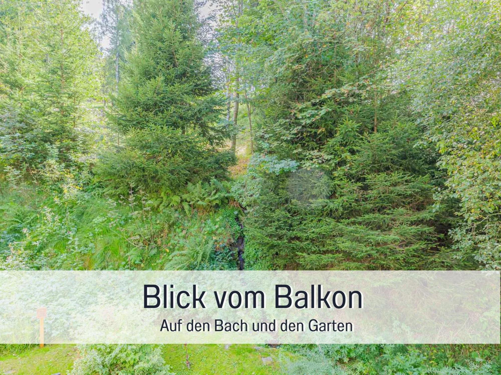Baechle Im Wanderparadies Balkon Mit Blick Auf Den Bach Sauna Im Haus Tiefgarage E-Ladestation Todtnauberg Extérieur photo
