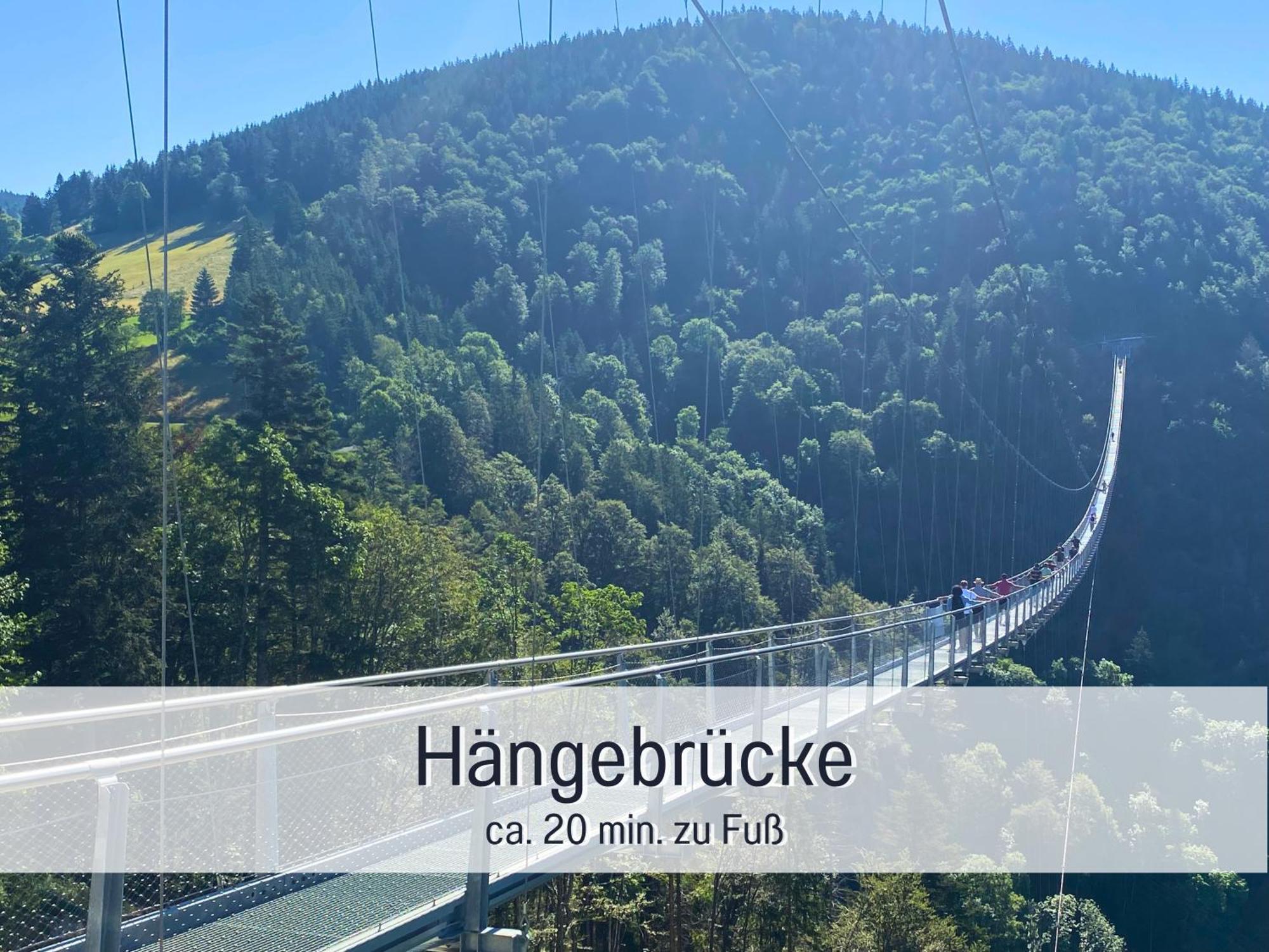 Baechle Im Wanderparadies Balkon Mit Blick Auf Den Bach Sauna Im Haus Tiefgarage E-Ladestation Todtnauberg Extérieur photo